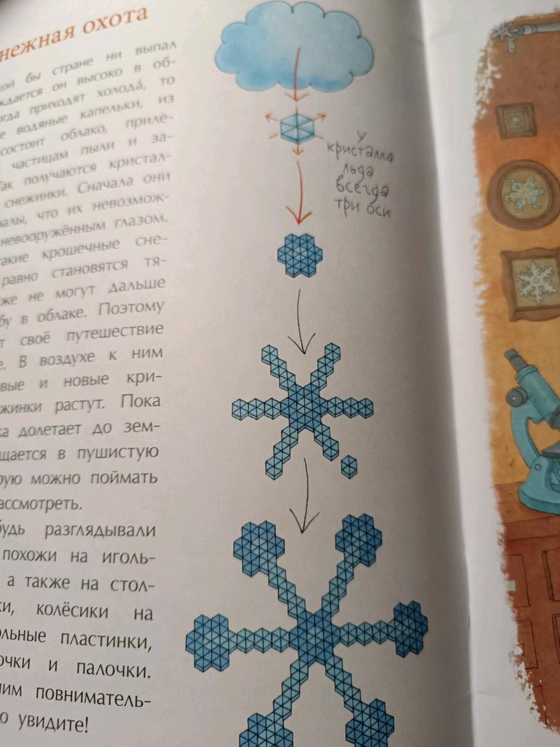 Иллюстрация 80 из 83 для Книжка про снежинки - Ольга Дворнякова | Лабиринт - книги. Источник: Оксана