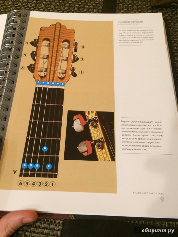 Иллюстрация 14 из 19 для Классическая гитара: справочник-самоучитель (+CD) - Дэвид Брэйд | Лабиринт - книги. Источник: Варге  Кристина