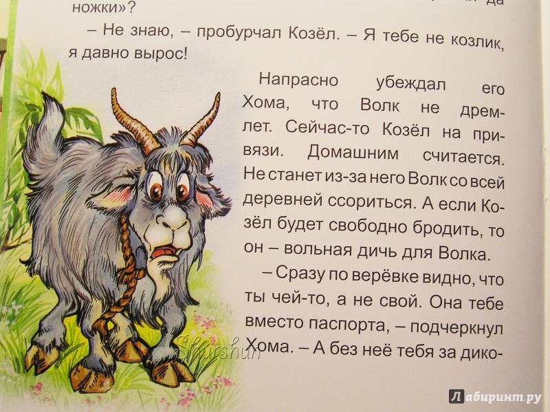 Иллюстрация 29 из 30 для Как Хома козла охранял - Альберт Иванов | Лабиринт - книги. Источник: Shurshun
