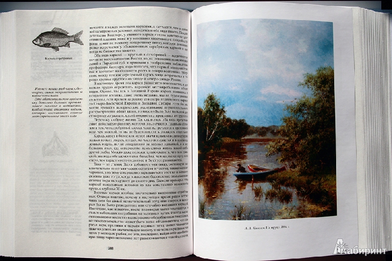 Иллюстрация 30 из 34 для Жизнь и ловля пресноводных рыб - Леонид Сабанеев | Лабиринт - книги. Источник: angel7sky