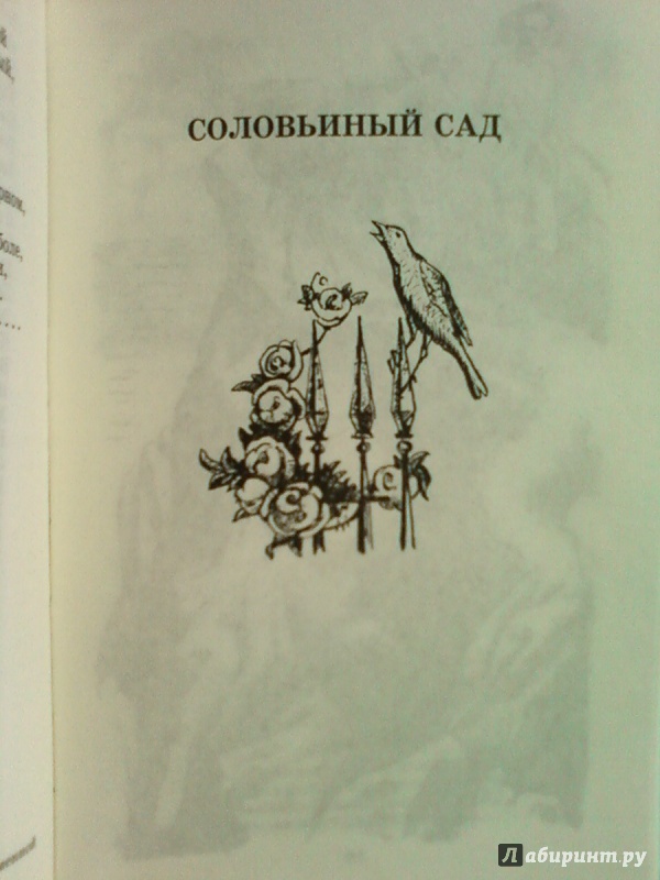 Иллюстрация 5 из 14 для Поэмы - Александр Блок | Лабиринт - книги. Источник: Шадрина  Наталья