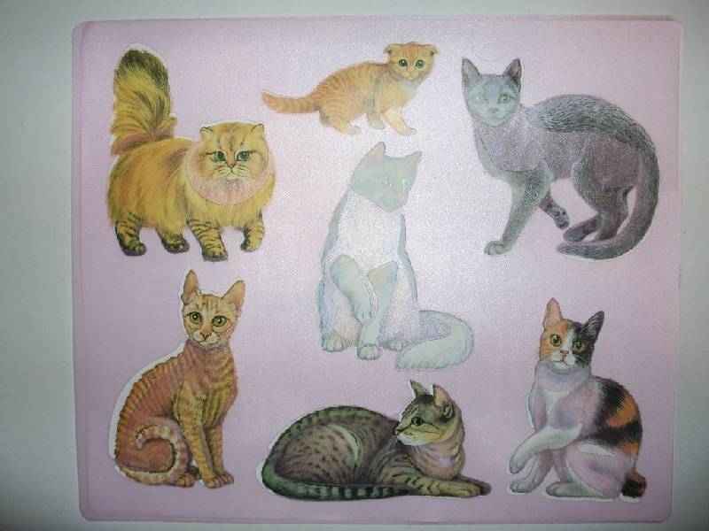 Иллюстрация 2 из 2 для Трафареты пластиковые. Кошки | Лабиринт - игрушки. Источник: Tiger.
