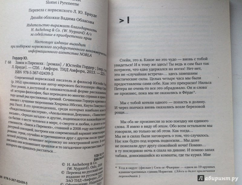 Иллюстрация 10 из 16 для Замок в Пиренеях - Юстейн Гордер | Лабиринт - книги. Источник: Филимонова  Ирина