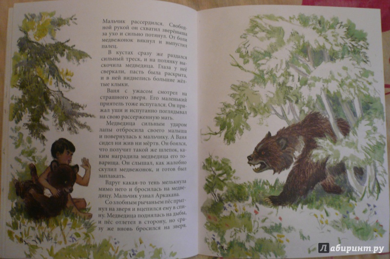 Иллюстрация 11 из 63 для Бойё - Евгений Фрейберг | Лабиринт - книги. Источник: Климкова  Светлана