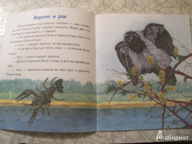 Иллюстрация 7 из 12 для Лиса и гуси - Константин Ушинский | Лабиринт - книги. Источник: Книгомама