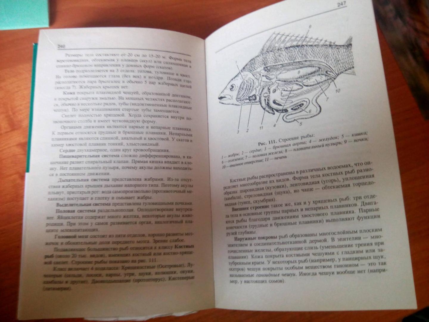 Иллюстрация 32 из 55 для Репетитор по биологии для старшеклассников и поступающих в вузы - Татьяна Шустанова | Лабиринт - книги. Источник: Matr1x