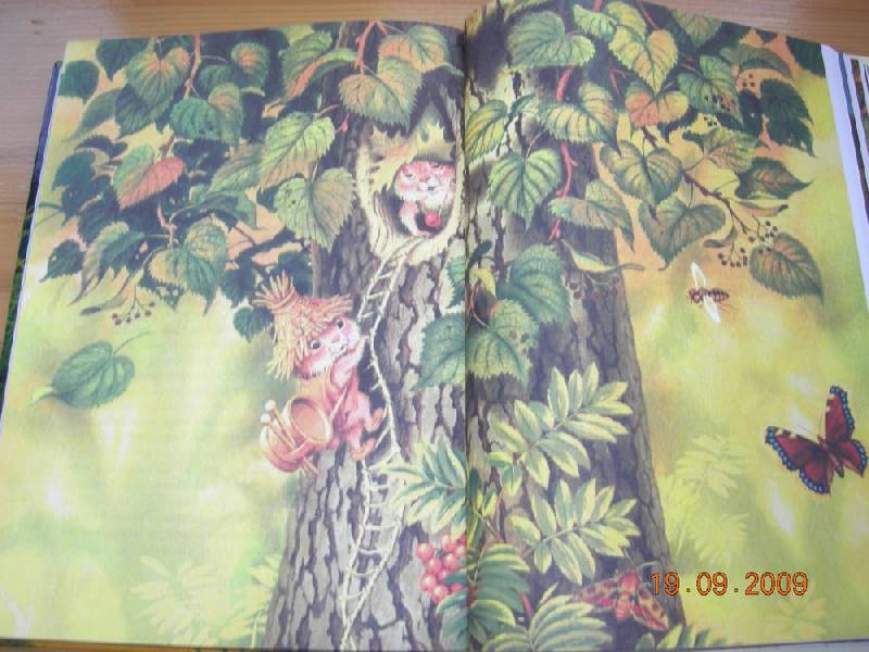 Иллюстрация 35 из 82 для Большой Кыш: Сказка - Мила Блинова | Лабиринт - книги. Источник: Соловей
