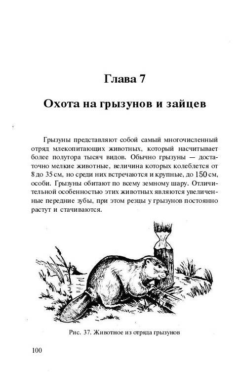 Иллюстрация 8 из 15 для Охота и рыбалка - А. Васильев | Лабиринт - книги. Источник: Рыженький