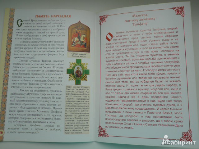 Иллюстрация 6 из 18 для Святой мученик Трифон Апамейский | Лабиринт - книги. Источник: Nadezhda_S