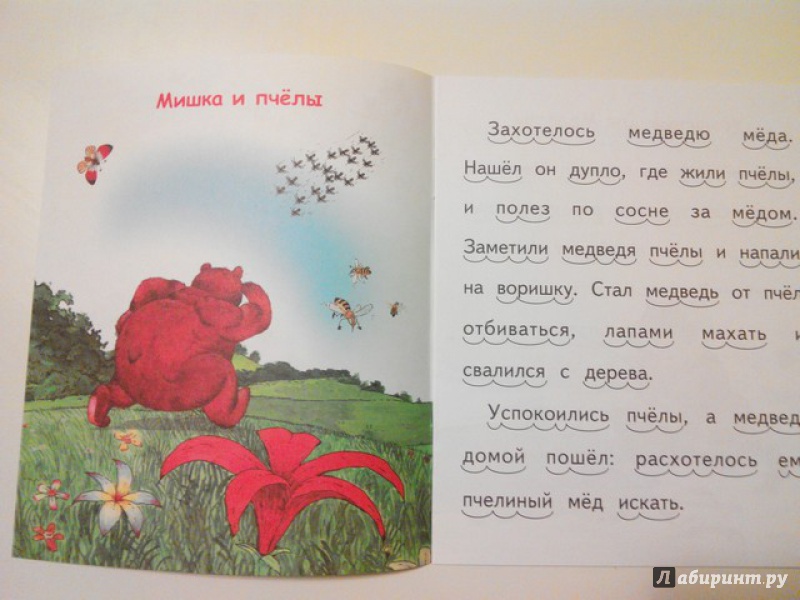 Иллюстрация 10 из 15 для Мишка и пчелы - Владимир Степанов | Лабиринт - книги. Источник: Irbis