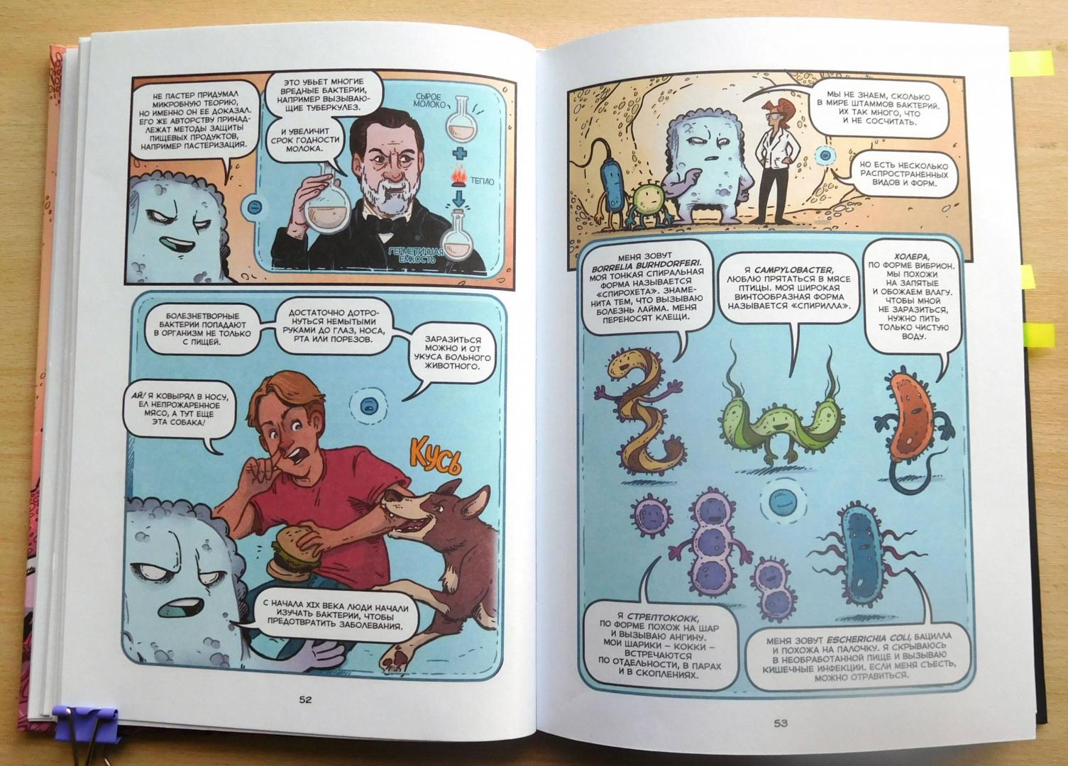 Иллюстрация 48 из 58 для Вирусы и микробы. Научный комикс - Фалинн Кох | Лабиринт - книги. Источник: Годовёнок