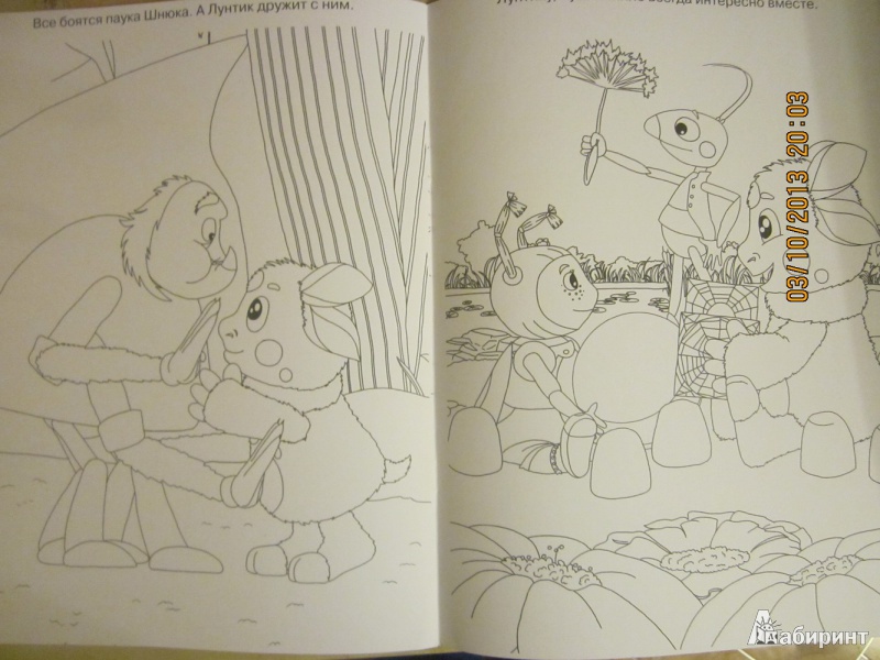Иллюстрация 6 из 6 для Волшебная раскраска. Лунтик и его друзья (№1346) | Лабиринт - книги. Источник: Карпеченко  Юля
