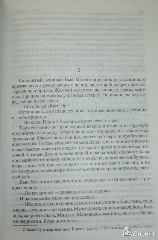 Иллюстрация 5 из 14 для Улисс - Джеймс Джойс | Лабиринт - книги. Источник: Леонид Сергеев