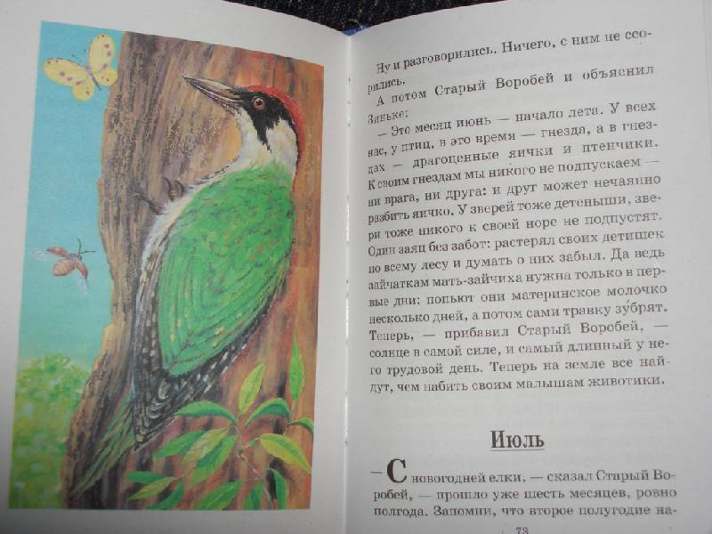 Иллюстрация 4 из 18 для Синичкин календарь - Виталий Бианки | Лабиринт - книги. Источник: sher