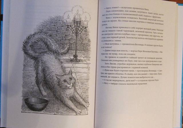 Иллюстрация 49 из 52 для Заоблачный Мастер или отравленное копье - Софья Прокофьева | Лабиринт - книги. Источник: Velena