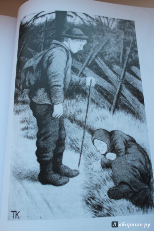 Иллюстрация 24 из 58 для Волшебные сказки Норвегии | Лабиринт - книги. Источник: Анна К.