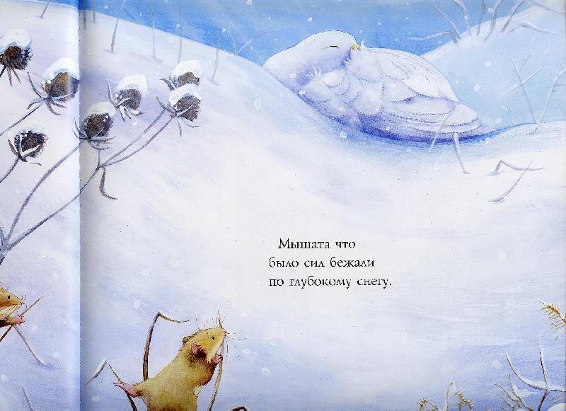 Иллюстрация 27 из 32 для Снежный ангел - Лисон, Чапмен | Лабиринт - книги. Источник: Igra