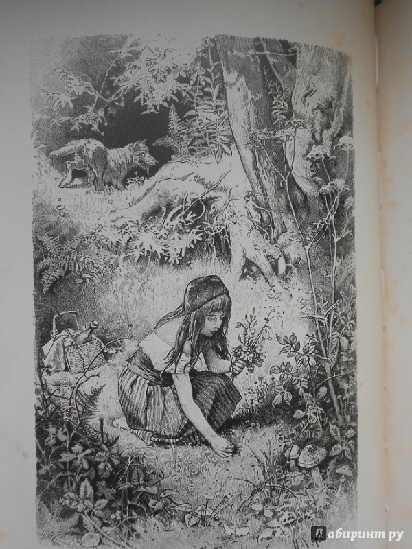 Иллюстрация 38 из 68 для Сказки - Гримм Якоб и Вильгельм | Лабиринт - книги. Источник: LeoLena