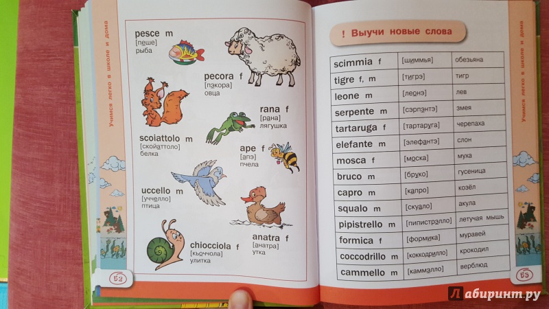 Иллюстрация 14 из 27 для Итальянский язык для школьников - Сергей Матвеев | Лабиринт - книги. Источник: Ола-ола