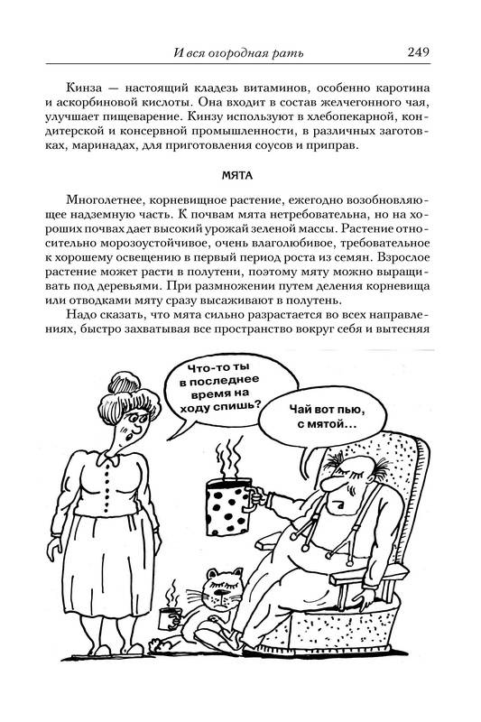 Иллюстрация 12 из 14 для Новые идеи для сада и огорода - Галина Кизима | Лабиринт - книги. Источник: Ялина