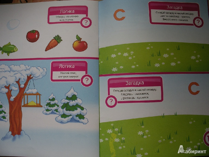 Иллюстрация 46 из 49 для Развитие речи. Развивающая книга с наклейками для детей от 5-ти лет - С. Разин | Лабиринт - книги. Источник: Tiger.