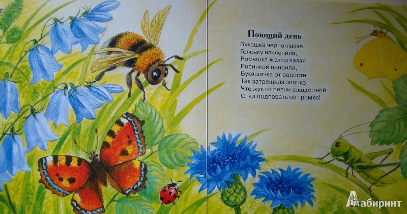 Иллюстрация 21 из 29 для На лесной проталинке - Гайда Лагздынь | Лабиринт - книги. Источник: dvpublic