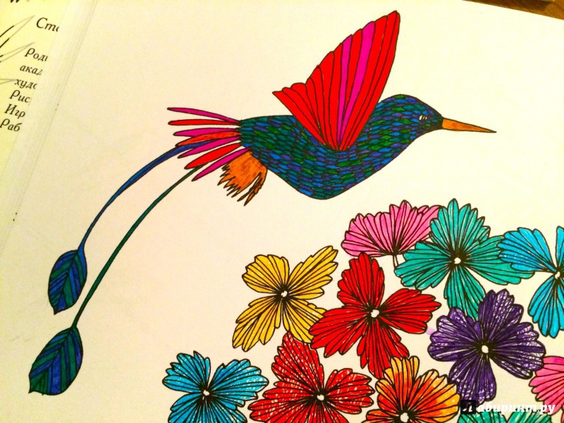 Иллюстрация 18 из 46 для Птицы счастья. Раскрась свой мир и добавь жизни цвета | Лабиринт - книги. Источник: Сташевская  Гита Нонна