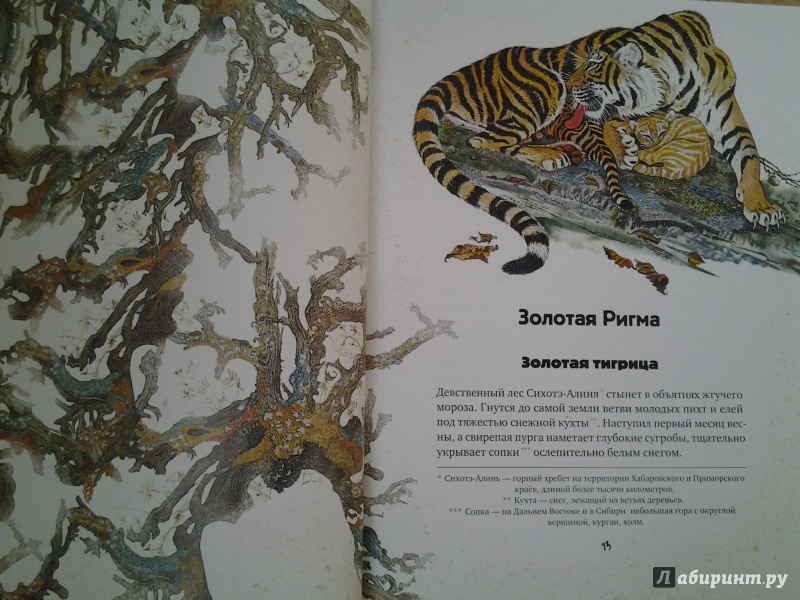 Иллюстрация 76 из 154 для Золотая Ригма - Всеволод Сысоев | Лабиринт - книги. Источник: Olga