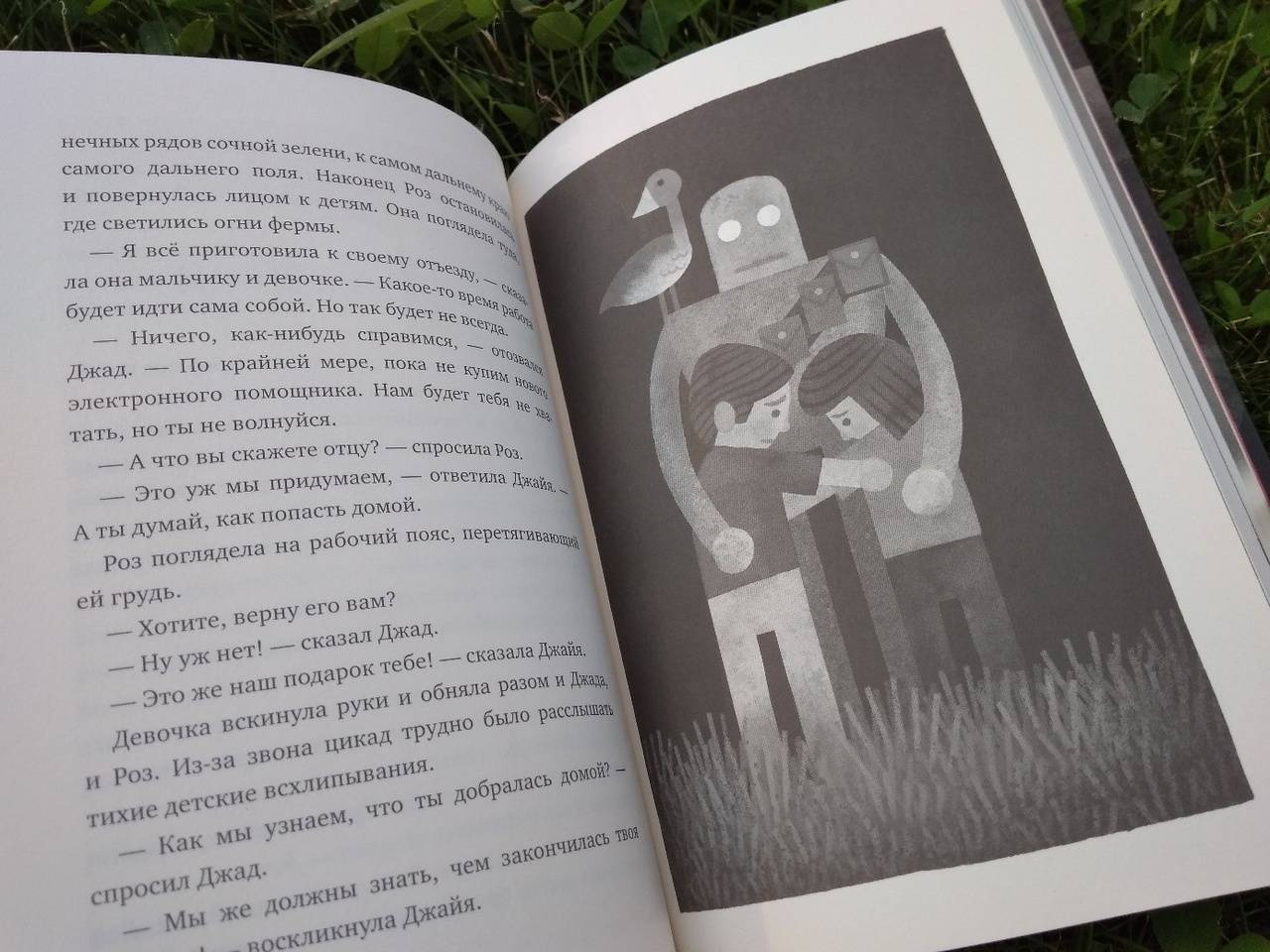 Иллюстрация 35 из 51 для Спасение дикого робота - Питер Браун | Лабиринт - книги. Источник: Исмайылова Марина