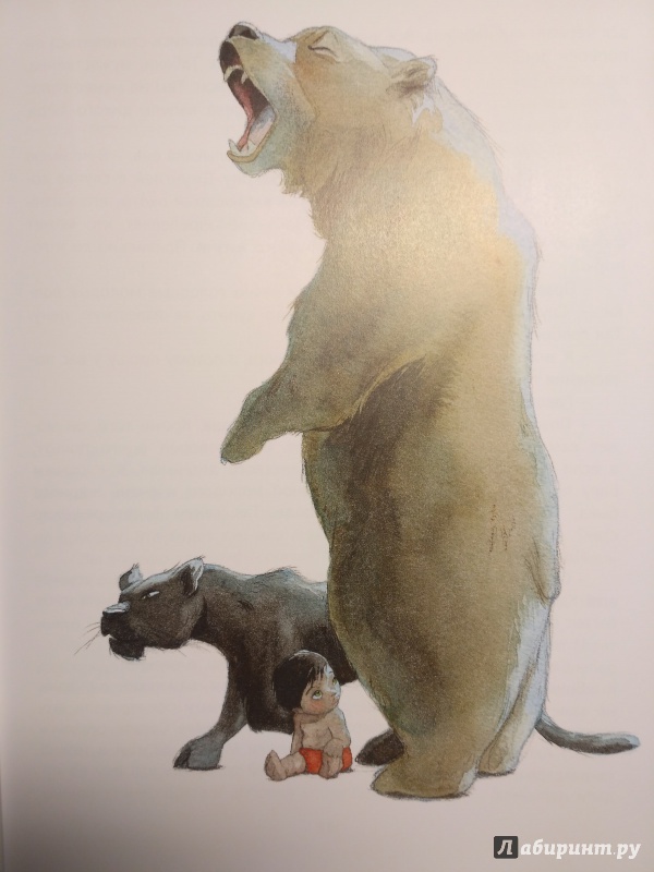 Иллюстрация 26 из 116 для Книга Джунглей - Редьярд Киплинг | Лабиринт - книги. Источник: Левендер Ту Ту