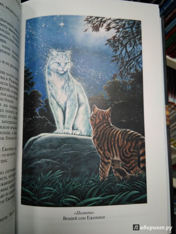 Иллюстрация 28 из 37 для Полночь. Восход луны - Эрин Хантер | Лабиринт - книги. Источник: ~ Kitten ~