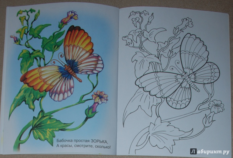 Иллюстрация 20 из 21 для Знакомимся с бабочками - Юрий Чичев | Лабиринт - книги. Источник: Книжный кот