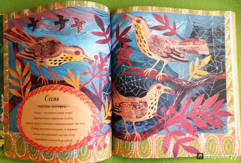 Иллюстрация 99 из 110 для Большая книга природы - Никола Дэвис | Лабиринт - книги. Источник: reader*s