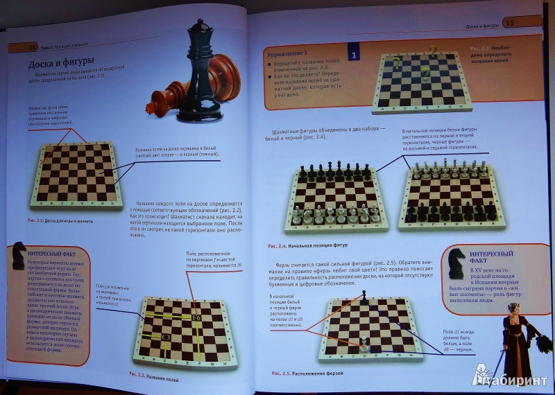 Иллюстрация 4 из 6 для Шахматы. Книга-тренер | Лабиринт - книги. Источник: Толстых  Ирина Сергеевна
