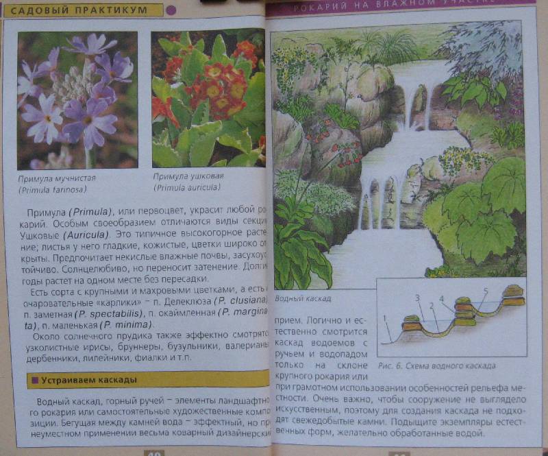 Иллюстрация 25 из 30 для Каменистый сад - Юрий Марковский | Лабиринт - книги. Источник: Флоренция