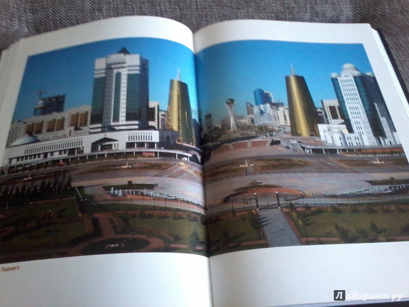 Иллюстрация 9 из 21 для Казахстан. 20 лет независимости. Сюрпризы и стереотипы - Джонатан Айткен | Лабиринт - книги. Источник: Сытых  Елена