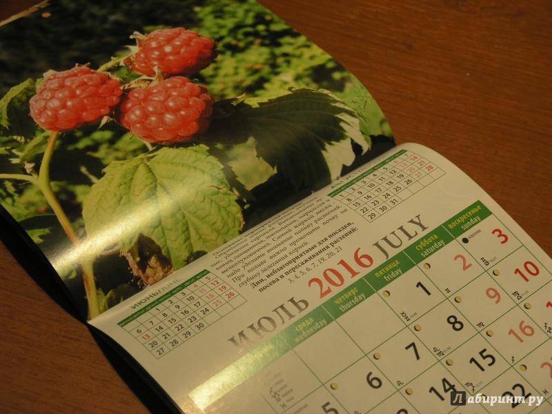 Иллюстрация 8 из 9 для Календарь настенный на 2016 год "Лунный календарь садовода и огородника" (30609) | Лабиринт - сувениры. Источник: Невская  Олеся