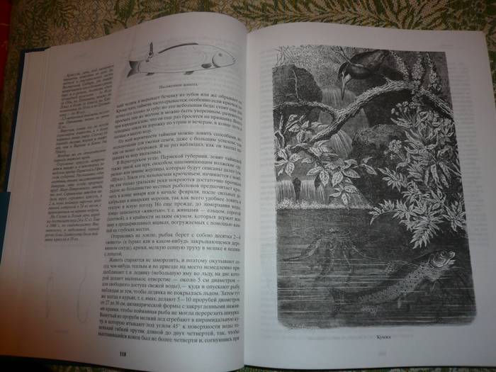 Иллюстрация 25 из 42 для Жизнь и ловля пресноводных рыб - Леонид Сабанеев | Лабиринт - книги. Источник: Nadezhda_S