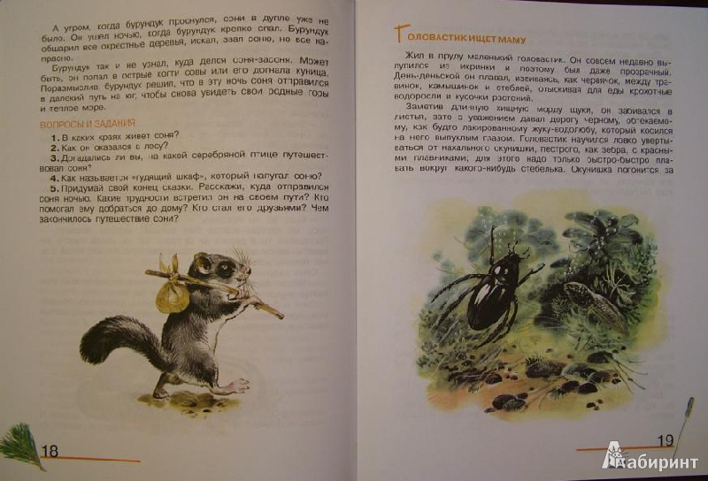 Иллюстрация 5 из 5 для Сказки о животных: книга для чтения детям - Александр Тамбиев | Лабиринт - книги. Источник: om-2