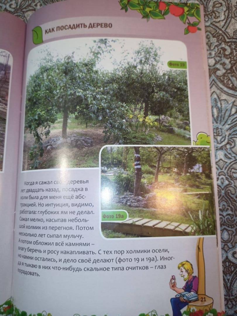 Иллюстрация 21 из 25 для Как посадить дерево - Николай Курдюмов | Лабиринт - книги. Источник: Kаpповa  Oльгa