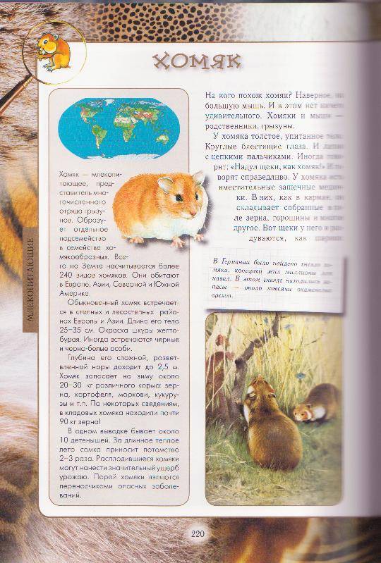 Иллюстрация 26 из 54 для Животный мир нашей планеты - Алексей Клиентов | Лабиринт - книги. Источник: Ёжик