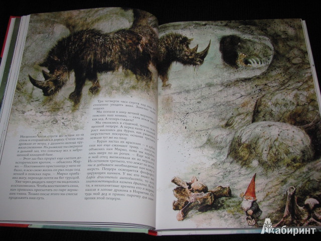 Иллюстрация 31 из 77 для Тайны гномов - Вил Хёйген | Лабиринт - книги. Источник: Nemertona