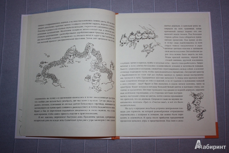 Иллюстрация 26 из 78 для В стране гномов - Эрих Хайнеманн | Лабиринт - книги. Источник: Михайлова Алексия