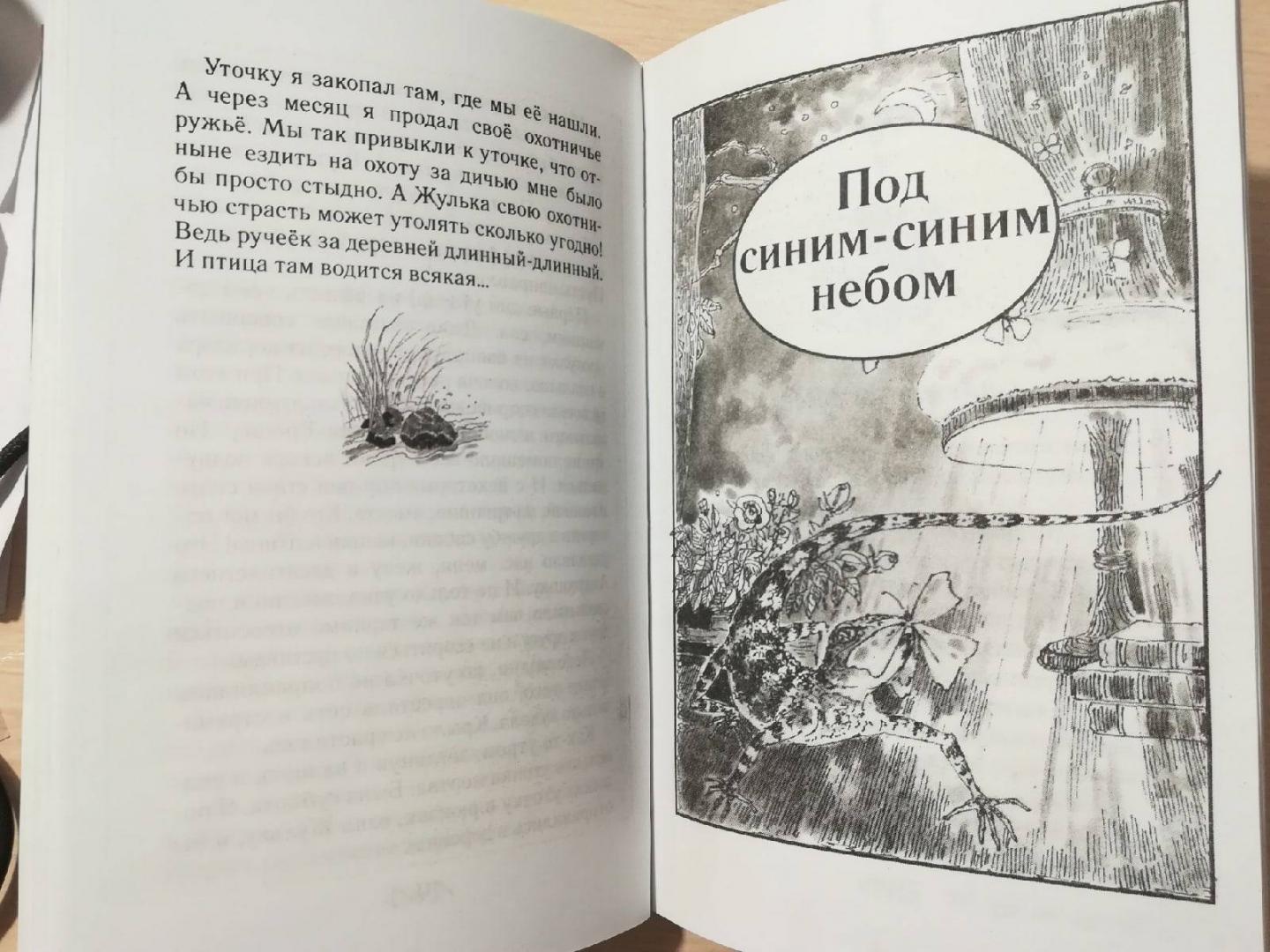 Иллюстрация 35 из 36 для Охотничья избушка - Николай Красильников | Лабиринт - книги. Источник: Лабиринт