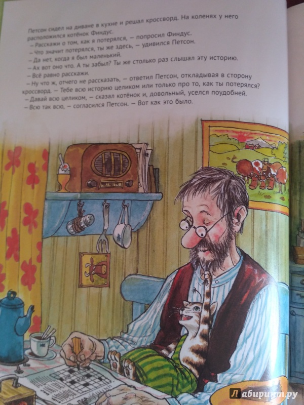 Иллюстрация 45 из 102 для История о том как Финдус потерялся, когда был маленьким - Свен Нурдквист | Лабиринт - книги. Источник: irinka_m