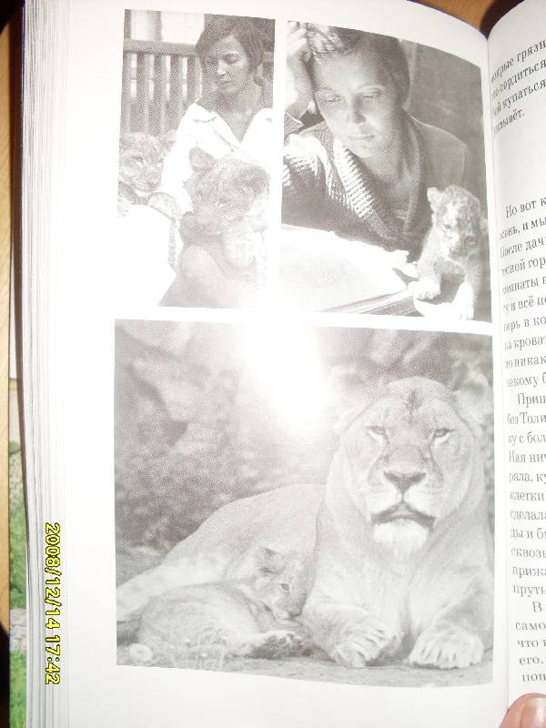 Иллюстрация 1 из 14 для Питомцы зоопарка - Вера Чаплина | Лабиринт - книги. Источник: Марта