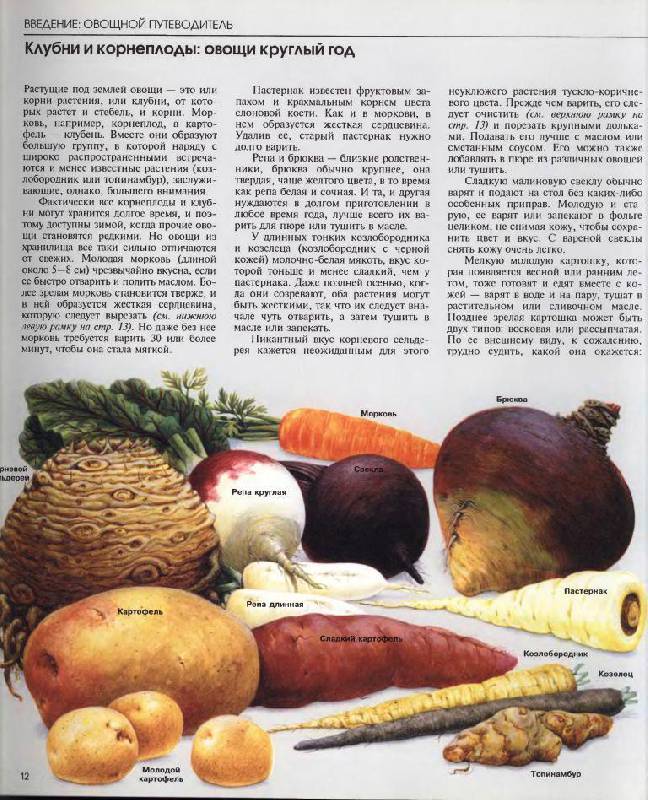 Иллюстрация 17 из 49 для Овощи | Лабиринт - книги. Источник: Юта
