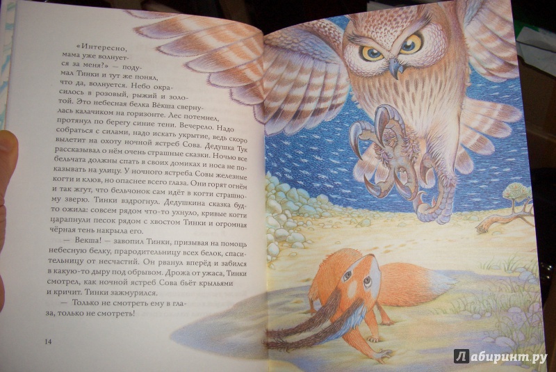 Иллюстрация 11 из 85 для Бельчонок Тинки - Тамара Михеева | Лабиринт - книги. Источник: aliceinw