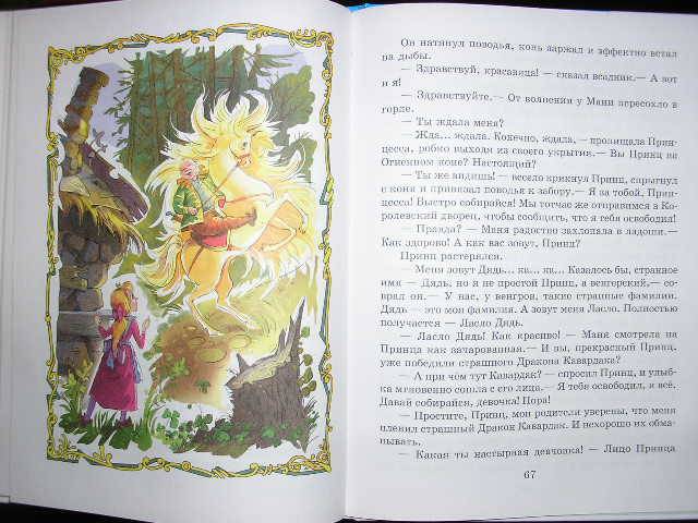 Иллюстрация 7 из 19 для Сказка о похищенной принцессе - Виктор Биллевич | Лабиринт - книги. Источник: Челнокова Мария