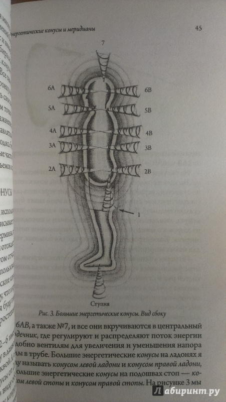 Иллюстрация 14 из 26 для Энергетическая анатомия. Руководство к пониманию и использованию Энергетической Системы Человека - Марк Рич | Лабиринт - книги. Источник: Юлия